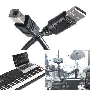 yz[Ocello] midi P[u usb ϊP[u ϊ A_v^ [MIDIxUSBϊ/1.0m/1.8m/5.0m] C^[tF[X L[{[h dqsAm Rg[[ (1m)