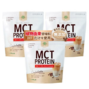 yz䏟R MCTveC JtFe 450g×3 lHÖsgp Y zGC \C BCAA r^~D