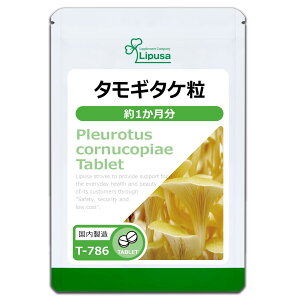 yzvT ^M^P 1 T-786 (30) Tvg GS`IlC  Y  l N e _CGbg H K ؕs 