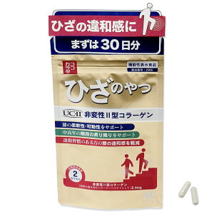 yzyRRJ_zЂ̂ ϐ2^R[Q [@\\Hi] 60JvZ G֐߂̈aȂL΂T|[gTv