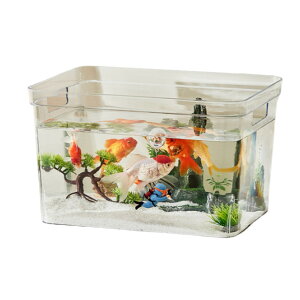 yzAsdays    _J  e ANAE ϗtA CeA e {E vX`bN  (:35×26×14cm)