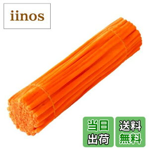 yzLeTradeJP |p[/H샂[ PF 30cm×6mm 100{ J[Lx Ntg[/i[ Ԍ`/t[C[ DIY萻 `f wZppi (IW)