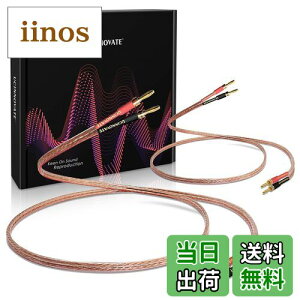 yzyUCINNOVATEz_f Xs[J[P[u oiivOt 2{1g banana plug oiivOH vO Xs[J[ P[u i Xs[J[ I[fBIP[u n_