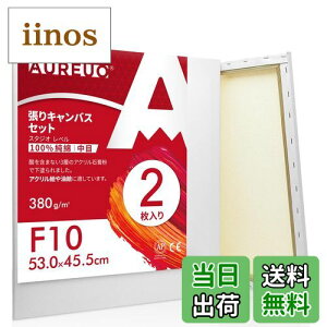 【送料無料】AUREUO 張りキャンバス セット F10 (53.0cmx45.5cm) 中目 100%コットン 2枚 初心者 絵画用具 芸術絵創作 現代油絵 美術装飾 水彩画・油絵画・アクリル兼用