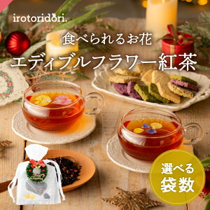 NX}X Mtg v[g GfBut[g _[W Xgx[ 2e1 rI LM\E Hp  v[g v`Mtg