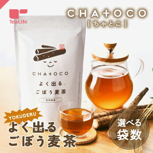 CHA+OCO 悭o邲ڂ 20 Ƃ 0ˁ` qǂ mJtFC JtFCX eB[obO H@ ڂ eB[Ct