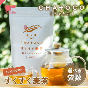 CHA+OCO  ǂuh 30 Ƃ 0ˁ` qǂ mJtFC JtFCX eB[obO   eB[Ct