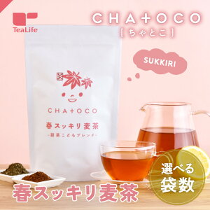 CHA+OCO tXbL [ǂuh 30 Ƃ 0ˁ` qǂ mJtFC JtFCX eB[obO [   eB[Ct