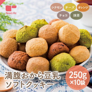 満腹 おから 豆乳 ソフトクッキー 送料無料 おからクッキー 大容量 ソフト クッキー やわらかいクッキー 大豆 チーズ チョコレート オレンジ シナモン 抹茶 満腹感 満足感 ダイエット中 ティ