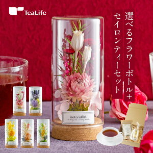 NX}X v[g Mtg t[{g  t[Mtg vU[uht[  a v[g j oYj j  蕨 A N j a