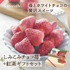 NX}X Mtg v[g `R ݂݃`R  50g  zCg`R g GfBut[g _[W Xgx[ 2e1 rI LM\E Hp  