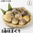 【限定特価】某TV番組で日本一のはまぐり!漁師直送【漁師のゲンコツ活はまぐり】大-特大サイズ【千葉県産】【九十九里…