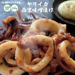yoii}̑NOZIPŏЉ܂zՂՂ聚CJ̐XЂ@CJ@Ђ@XЂ@XЂ