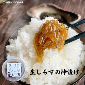 【生しらすの沖漬け】【国産】　送料無料　生　冷凍　沖漬け　天然　海鮮　母の日　父の日　敬老の日　御中元　御歳暮　ギフト　やみつき　特産　やわらか　生しらす　健康　網元　漁師直送　御祝