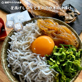 【釜揚げしらすと生白魚の沖漬けのセット】国産　送料無料　生　冷凍　しらす丼　沖漬け　天然　海鮮　母の日　父の日　敬老の日　御中元　御歳暮　御祝　ギフト　3人前　4人前　特産　やわらか　ふっくら　健康　網元　漁師直送