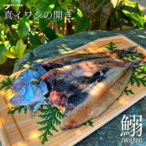 ŷ聝^CV̊J/Vzy4P/8zy8P/16zY@Ⓚ@ӂ@VR@V@@Zbg@p@CN@̓@̓@hV̓@j@䒆@Ε