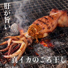 肝が旨い！【真イカのゴロ干し（丸干し）】