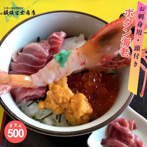 kCMs эymX hgp {^CV 500g CN hg ĂCV  X`  p Mtgp LO n̓ {^Gr 