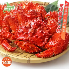 【レビューで10%OFFクーポン進呈中！】北海道小樽市 飯坂冨士商店 特大プレミアム花咲蟹(オス)2尾 かに 花咲蟹 カニ 鉄砲汁 ギフト 贈答