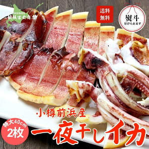 kCMs эymX Ɛ MOlY 銱CJ 2 140cmO Ygp Ă    p Mtgp ٓ т̂ ܂