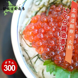 kCMs эymX Ɛ kCY ̏ݖЂ 300g 4lO kCYgp 嗱  p Mtgp ٓ т̂ ܂