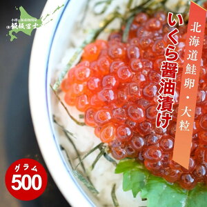 kCMs эymX Ɛ kCY ̏ݖЂ 500g 7lO kCYgp 嗱  p Mtgp ٓ т̂ ܂