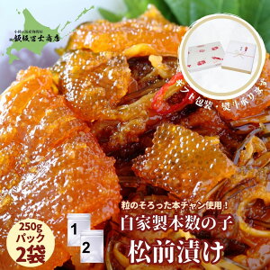 250g×2pbN kCMs эymX Ɛ {̎qOЂ {` 吔̎q OЂ  p Mtgp ٓ т̂ ܂