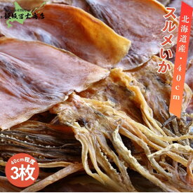 【レビューで10%OFFクーポン進呈中！】北海道小樽市 飯坂冨士商店 北海道産 スルメ 40cm程度 3枚 お出汁 おつまみ お供物 大型サイズ お取り寄せ ご自宅用 ギフト用