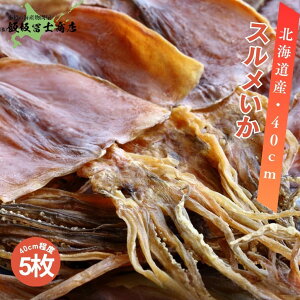 kCMs эymX kCY X 40cmx 5 CJ o` ܂  ^TCY  p Mtgp