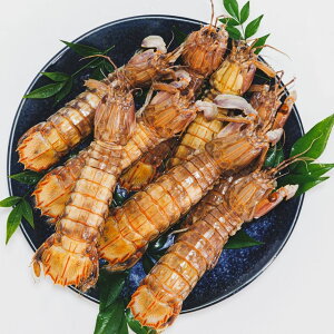 kCMs эymX y2025NHzMOlYVR IX10 Ⴑ VRGr OЂ ܂ ͂̂Ƃ Mtg  VR