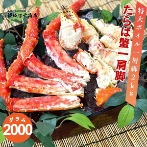 kCMs эymX v~A {CΊIꌨ9L2kg {Cς ΊI CN ĂI I  p Mtgp LO n̓