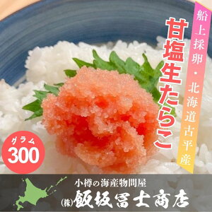kCMs эymX D̗ É 炱 3{ 300g kCÕ  p Mtgp ٓ т̂ ܂