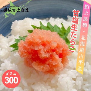 kCMs эymX D̗ É 炱 3{ 300g kCÕ  p Mtgp ٓ т̂ ܂