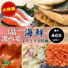 【レビューで10%OFFクーポン進呈中！】【破格の値下げ！】3品 選べる お好み海鮮グルメセット よりどり お取り寄せ ご自宅用 ギフトにも お弁当 ご飯のお供 おつまみ お徳用 年末 老舗 紅鮭 焼き魚 サーモン ルイベ 紅鮭 フレーク ほっけ ホッケ ホッキ貝 北寄 ほっき