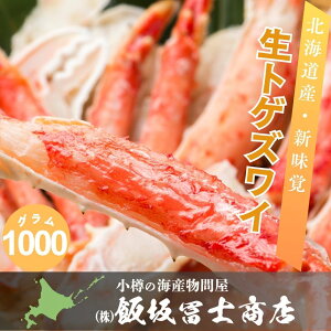 kCMs эymX gQYCn[t|[V1kg  킢I CN ĂI I  p Mtgp LO n̓