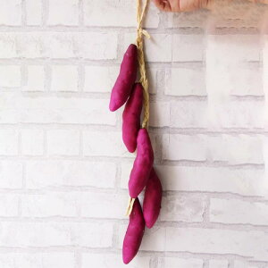 HiTv  ֎q/S[/|eg͌^ X ̑ Be fBXvC X PVCf