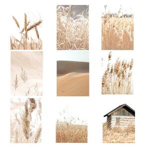 ̎RƂ̕ǃA[gLoi惊rO[̏łĉƂ̐Q̃ItBX̑