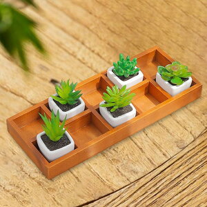 ؐ[d؂{bNX d؂tI[KiCU[ 㐮 10ObhZNV{bNX ~jAؔpdgC