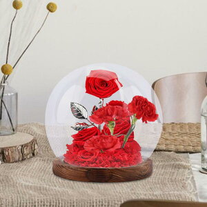 N[V KX h[.KX N[V O[u h[.eE Eh EFfBO Ntg }CN hXP[v KX h[ N[V