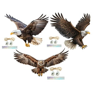 C[OI[ig K[ffR[V NGCeBuŃj[NȃMtg [vt 2DtbgTC ݂艺 tFX _ Ő peBI p