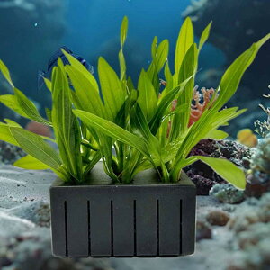 5  pAoXPbg k͔|AJbv e vȌiσ|bg v^[Jbv