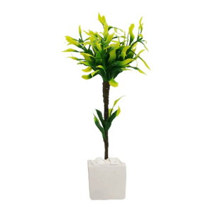 1:12XP[h[nEX~j`Aq̂߂̃h[nEX̑̂߂̗΂̐A - Aؔ