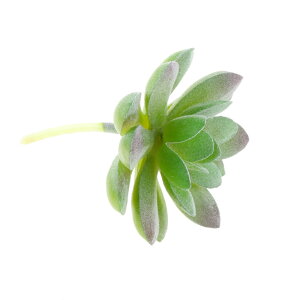 lHA  @̉ A ƒ  e[u  O[