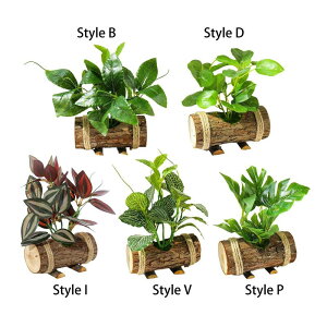 lH̔A̗΂̐AI̔_Ƃ̂߂̏ȔA̐A