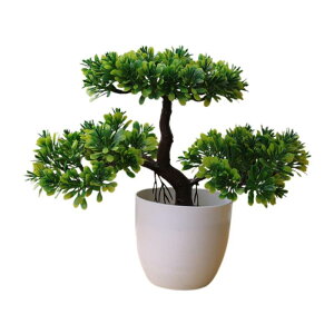 lH~ A tFCN~ fXN K[f oX[p