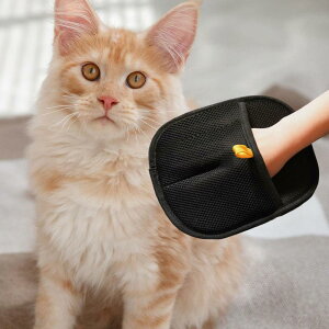 ybg̖т̏.ȒPȃN[jO.ƒp.ybg̖т̏.xbh.J[ybg.Ƌp̌IȃO[~O