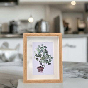 tHgt[ ؐ 11cmx15cm ~j}Y fXNgbvƕǊ|ʐ^V[P[X