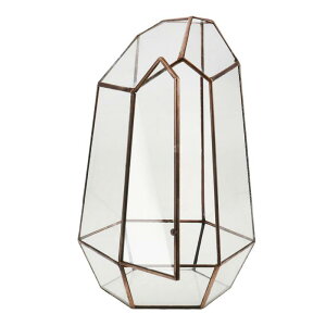 ���e�����E���K���X�A�ؔ��I�[�i�����g