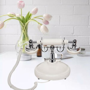 I[fBIQXgubN ^@\ db gfUC bZ[WL^ p[eB[p fXNdb AeB[N z[ @\  a LOTɓKp 24.5cmx13cmx19.5cm