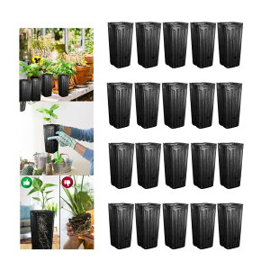 20�̃c���[�|�b�g�X�N�G�A�ϋv���̂���ԐA���R���e�i�V�[�h